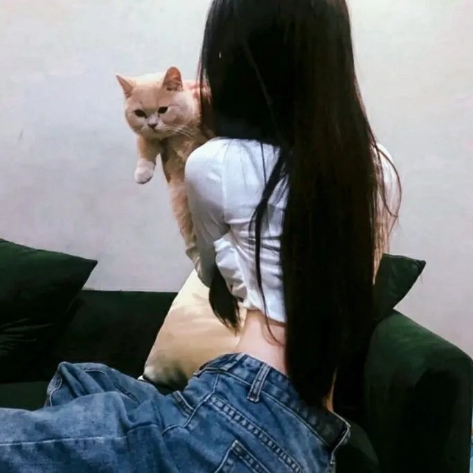 菊石
